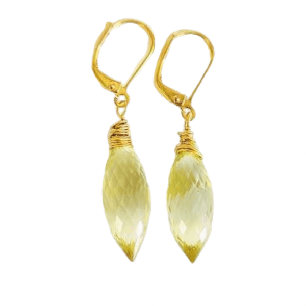 Lamoona Earrings - MINU Jewels