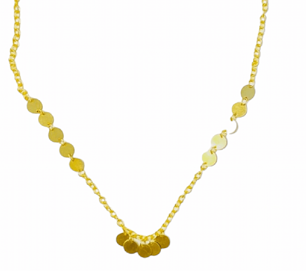 Moeda Necklace - MINU Jewels